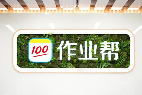 作業(yè)幫逆勢(shì)募集7.5億美元E輪投資 自有流量“核武”效果顯現(xiàn)，職業(yè)教育投資成新突破口